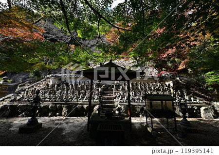 三田市にある蓮花寺 119395141