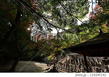 三田市にある蓮花寺 119395142