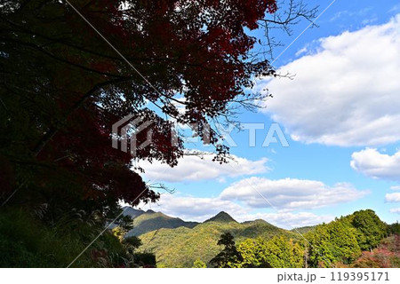 三田市にある蓮花寺 119395171