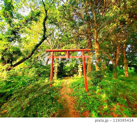 新緑に覆われた鳥居 119395414