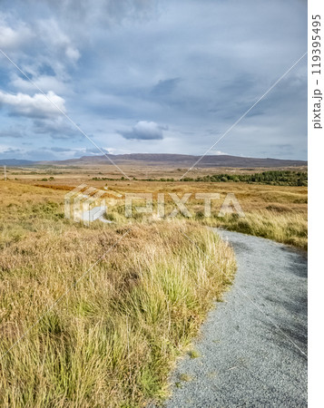 Path in Glenveagh National Park, Republic Donegal, Ireland 119395495