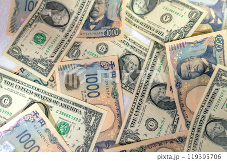 ドル円 119395706