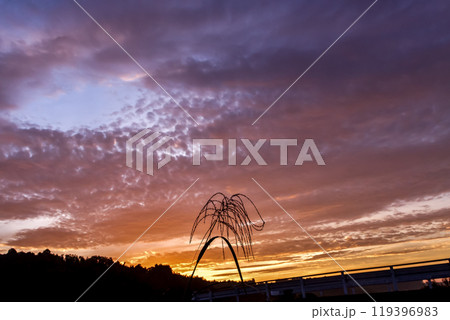 ススキの造形越しに秋の朝焼けが広がる光景 ススキの造形越しに秋の朝焼けが広がる光景 119396983