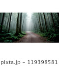 background with forest and fog 119398581
