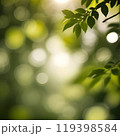 green leaves with shadow, blurred bokeh in the forest. 119398584