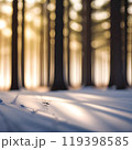 Abstract blurred bokeh in the forest, glow in the dark. Snow in the forest. 119398585