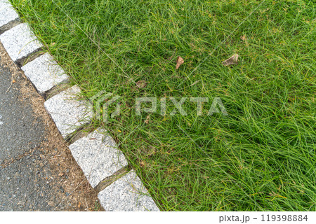 雑草と緑の草、草抜き作業前後の風景 雑草と緑の草、草抜き作業前後の風景 119398884
