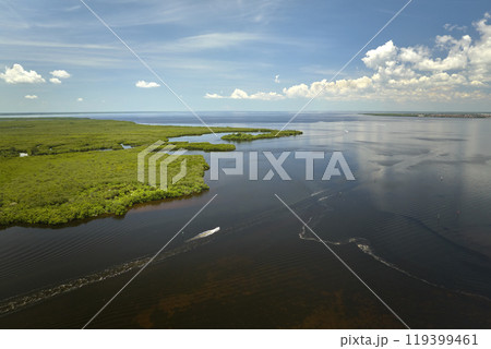 Overhead view of small boat on Everglades swamps with green vegetation between water inlets. Natural habitat of many tropical species in Florida wetlands Overhead view of small boat on Everglades swamps with green vegetation between water inlets. Natural habitat of many tropical species in Florida wetlands 119399461