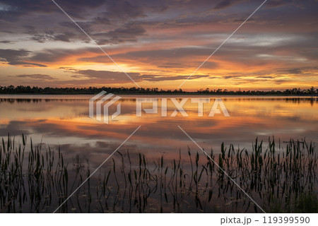 Florida evening nature. Wetland lake at sunset 119399590