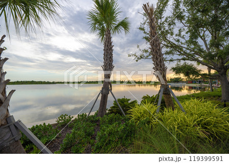 Florida lake nature at sunset. Recreational wildlife area in Wellen park in Venice 119399591