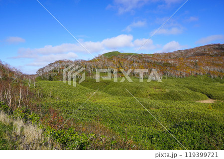 大谷地（ニセコ・神仙沼自然休養林） 119399721