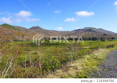 大谷地(ニセコ・神仙沼自然休養林) 大谷地(ニセコ・神仙沼自然休養林) 119399788