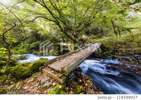 Tateshina Otaki Falls in Japan Tateshina Otaki Falls in Japan 119399927