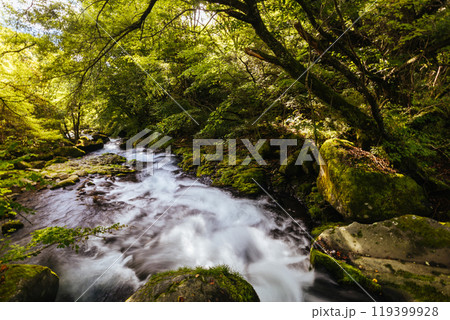 Tateshina Otaki Falls in Japan Tateshina Otaki Falls in Japan 119399928