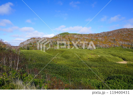 大谷地（ニセコ・神仙沼自然休養林） 119400431