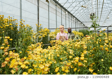 Wide angle view at glass greenhouse plantation with yellow flowers and two people as gardeners walking between flowerbeds copy space 119400489