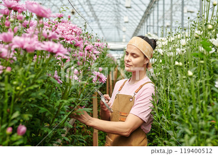 Minimal side view portrait of joyful young woman working in flower plantation glasshouse and caring for plants copy space Minimal side view portrait of joyful young woman working in flower plantation glasshouse and caring for plants copy space 119400512