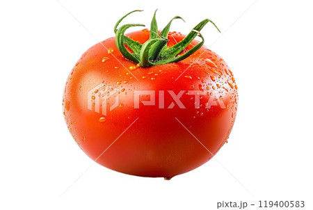 Photorealistic wet red tomato isolated on a transparent background. Fresh tomato with drops. Side view. Organic fruit design element PNG cutout. Garden Lifestyle. Food, cooking, vegetable diet concept 119400583