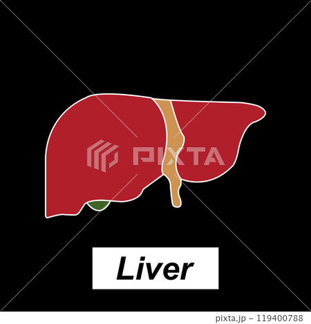 Liver icon 119400788