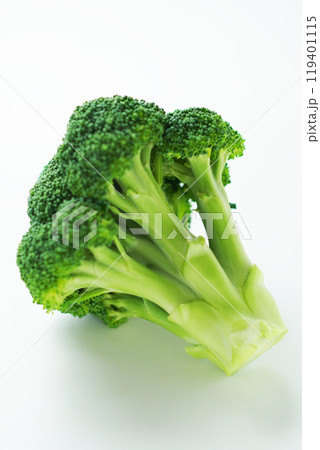ブロッコリー(白バック) 119401115