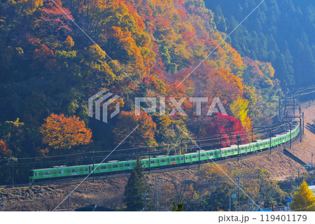 紅葉する中をゆく京王8000系　高尾山トレイン　8713F 119401179