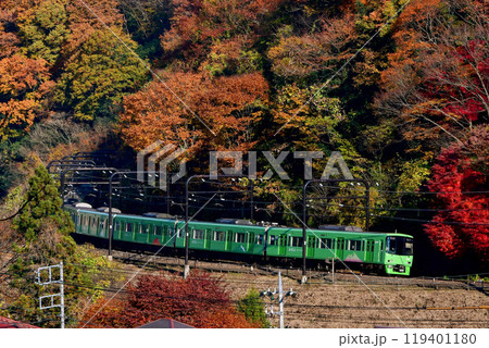 紅葉の中を走る京王8000系高尾山トレイン8713F 紅葉の中を走る京王8000系高尾山トレイン8713F 119401180
