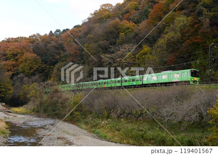 紅葉する木々と京王8000系8713F高尾山トレイン 紅葉する木々と京王8000系8713F高尾山トレイン 119401567