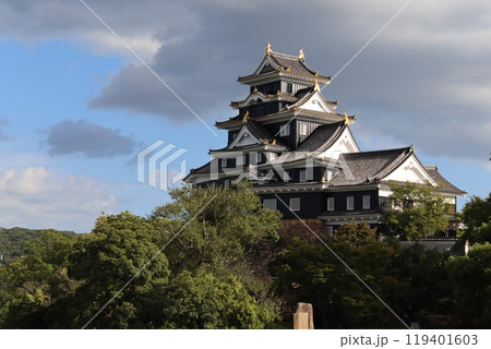 岡山城 119401603