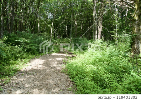 妙高戸隠連山国立公園のトレッキング道 妙高戸隠連山国立公園のトレッキング道 119401802