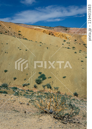 Hills of bright yellow sandstone hills 119401883