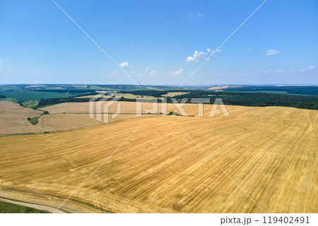 Aerial landscape view of yellow cultivated agricultural field with dry straw of cut down wheat after harvesting Aerial landscape view of yellow cultivated agricultural field with dry straw of cut down wheat after harvesting 119402491