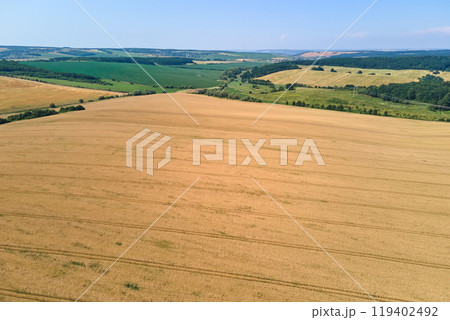 Aerial landscape view of yellow cultivated agricultural field with ripe wheat on bright summer day Aerial landscape view of yellow cultivated agricultural field with ripe wheat on bright summer day 119402492