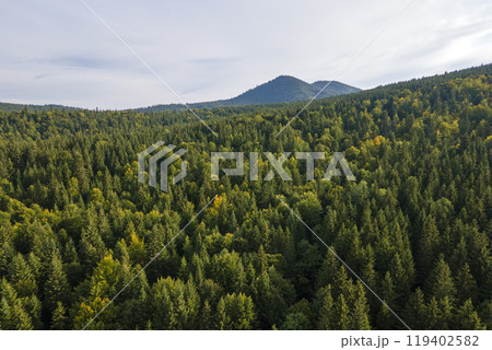 Aerial view of green pine forest with dark spruce trees covering mountain hills. Nothern woodland scenery from above Aerial view of green pine forest with dark spruce trees covering mountain hills. Nothern woodland scenery from above 119402582