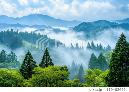 Aerial view of fog over valley 119402661