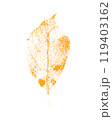 Leaf print. Vector botanical illustration. 119403162