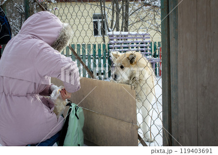 Girl in pink jacket breaks off a piece of bread to feed dog sitting behind fence 119403691