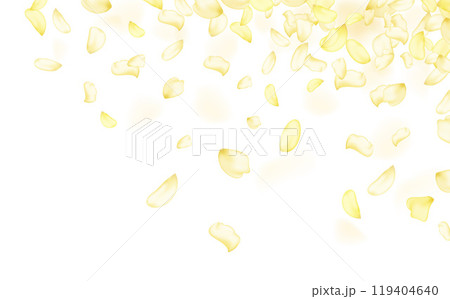 Amber flower spring template.Yellow falling rose or sunflowers petals. 119404640