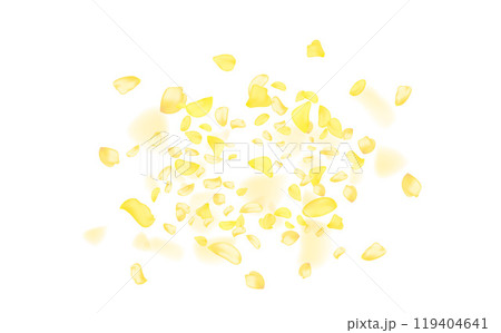 Amber flower spring template.Yellow falling rose or sunflowers petals. 119404641