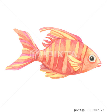 Red and orange tropical fish with a striped body. Isolated tiger barb watercolor clipart for childrens storybooks, ocean-themed stationery, or playful aquatic decorations for products Red and orange tropical fish with a striped body. Isolated tiger barb watercolor clipart for childrens storybooks, ocean-themed stationery, or playful aquatic decorations for products 119407173