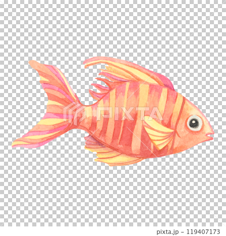Red and orange tropical fish with a striped body. Isolated tiger barb watercolor clipart for childrens storybooks, ocean-themed stationery, or playful aquatic decorations for products Red and orange tropical fish with a striped body. Isolated tiger barb watercolor clipart for childrens storybooks, ocean-themed stationery, or playful aquatic decorations for products 119407173