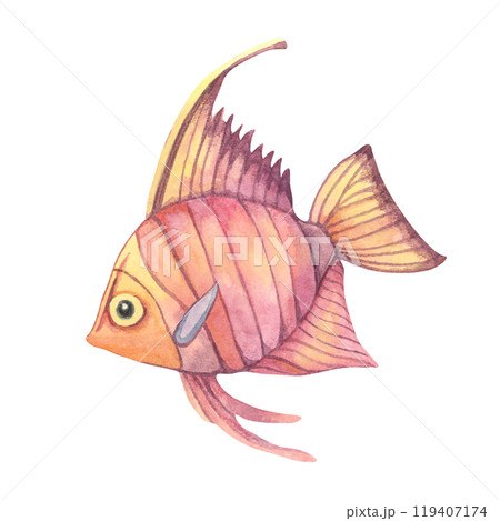 Tropical fish with a deep red and purple body. Angelfish. Watercolor isolated clipart for childrens apparel, educational materials, or aquatic-themed merchandise like tote bags or notebooks Tropical fish with a deep red and purple body. Angelfish. Watercolor isolated clipart for childrens apparel, educational materials, or aquatic-themed merchandise like tote bags or notebooks 119407174