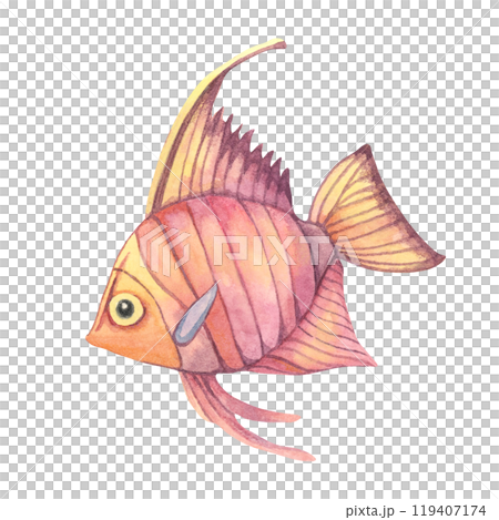 Tropical fish with a deep red and purple body. Angelfish. Watercolor isolated clipart for childrens apparel, educational materials, or aquatic-themed merchandise like tote bags or notebooks Tropical fish with a deep red and purple body. Angelfish. Watercolor isolated clipart for childrens apparel, educational materials, or aquatic-themed merchandise like tote bags or notebooks 119407174