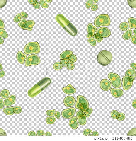 A seamless pattern of green Chlorella algae cells with green capsules. This superfood watercolor clipart is perfect for health-related merchandise, supplement product labels, or scientific branding 119407490