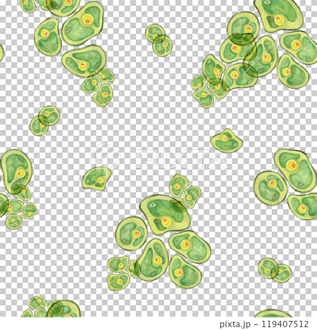 Green Chlorella algae cells. Watercolor seaweed seamless pattern clipart. Ideal for creating designs related to health supplements, eco-friendly products, or educational infographics on algae 119407512