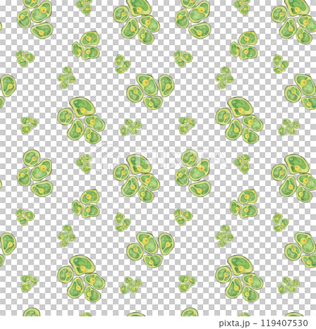 Chlorella algae cells. Watercolor seaweed seamless pattern clipart. Perfect for use in health and nutrition product designs, eco-friendly branding, or background patterns in educational materials Chlorella algae cells. Watercolor seaweed seamless pattern clipart. Perfect for use in health and nutrition product designs, eco-friendly branding, or background patterns in educational materials 119407530
