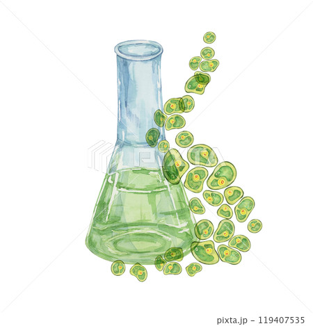 A lab flask filled with green Chlorella algae cells in watercolor. Hand drawn clipart for health product branding, or eco-friendly designs related to algae supplements, wellness and nutrition 119407535
