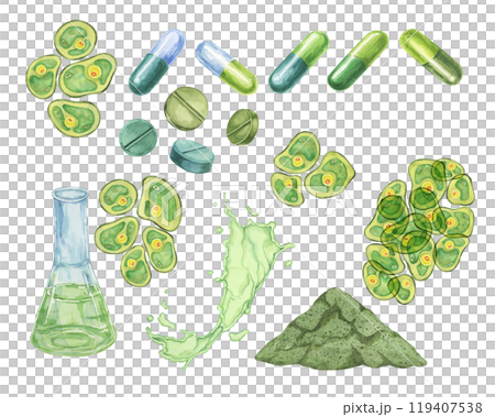 Chlorella algae cells, capsules, pills, powder and lab flask with seaweed extract. Watercolor clipart set. Ideal for use in health product packaging, wellness branding, or nutritional supplements 119407538