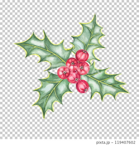 A detailed watercolor illustration of holly leaves with red berries. Great for use in Christmas greeting cards, winter-themed gift wraps, seasonal product labels, or digital holiday invites A detailed watercolor illustration of holly leaves with red berries. Great for use in Christmas greeting cards, winter-themed gift wraps, seasonal product labels, or digital holiday invites 119407602