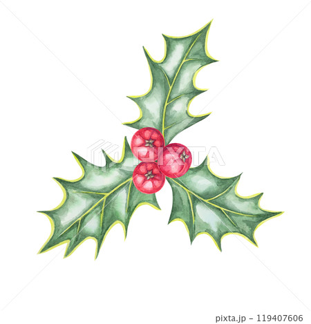 A cluster of holly leaves and red berries in watercolor. This ilex hand drawn clipart is perfect for adding a festive touch to product labels, party invitations, Christmas scrapbooking, or web design 119407606