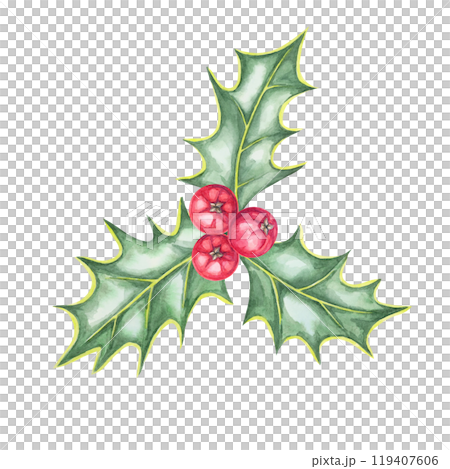 A cluster of holly leaves and red berries in watercolor. This ilex hand drawn clipart is perfect for adding a festive touch to product labels, party invitations, Christmas scrapbooking, or web design 119407606
